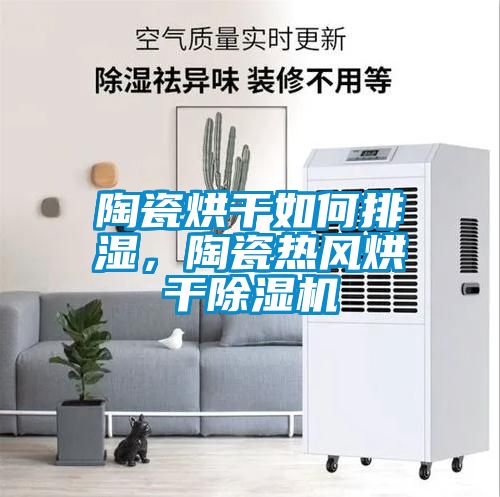 陶瓷烘干如何排濕，陶瓷熱風(fēng)烘干除濕機