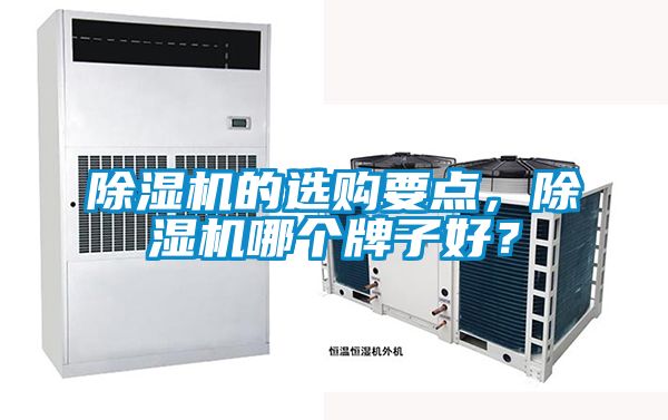 除濕機的選購要點，除濕機哪個牌子好？