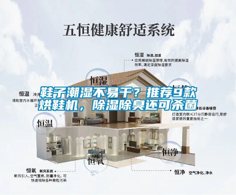 鞋子潮濕不易干？推薦9款烘鞋機，除濕除臭還可殺菌