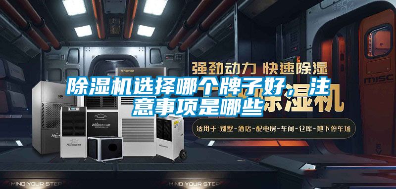 除濕機(jī)選擇哪個牌子好，注意事項是哪些