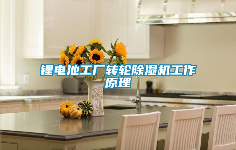 鋰電池工廠轉輪除濕機工作原理