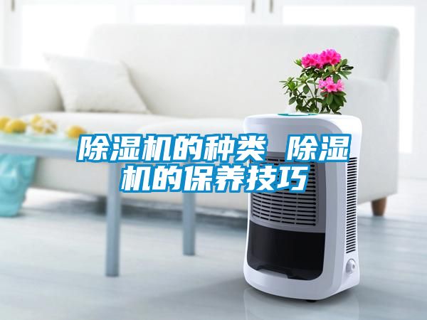除濕機的種類 除濕機的保養技巧