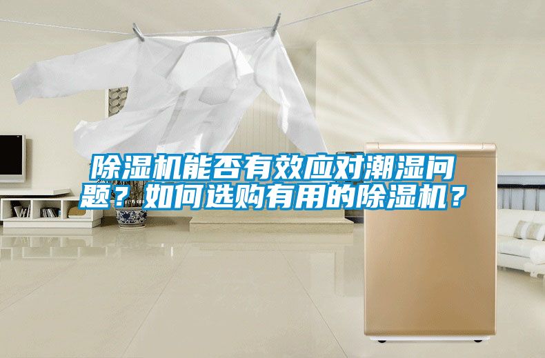 除濕機能否有效應(yīng)對潮濕問題？如何選購有用的除濕機？