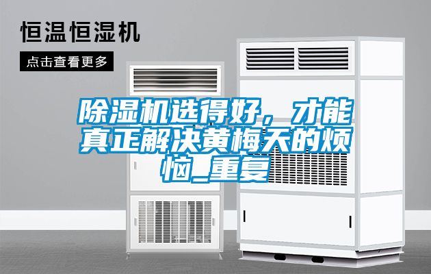 除濕機選得好，才能真正解決黃梅天的煩惱_重復(fù)
