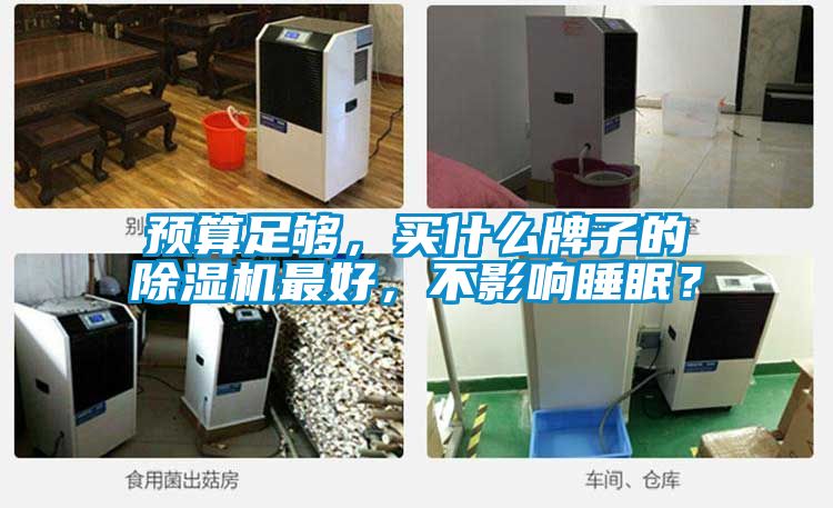 預算足夠，買什么牌子的除濕機最好，不影響睡眠？