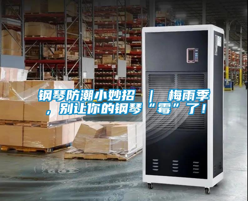 鋼琴防潮小妙招 ｜ 梅雨季，別讓你的鋼琴“霉”了！
