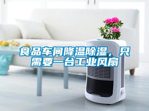 食品車間降溫除濕，只需要一臺工業風扇