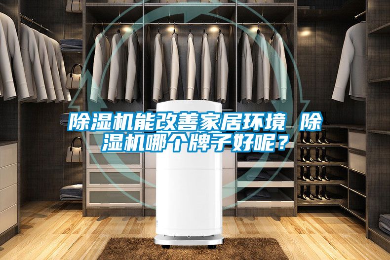 除濕機能改善家居環境 除濕機哪個牌子好呢？
