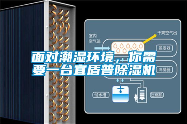 面對(duì)潮濕環(huán)境，你需要一臺(tái)宜盾普除濕機(jī)