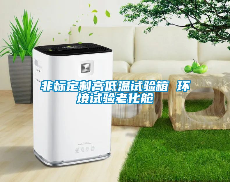 非標定制高低溫試驗箱 環境試驗老化艙