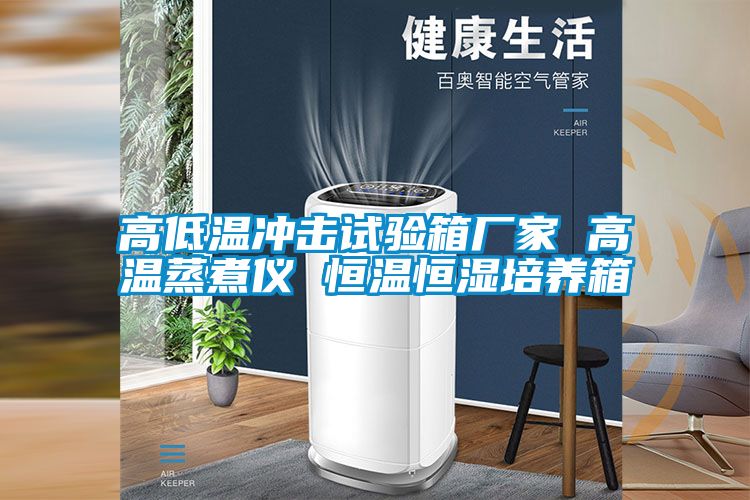 高低溫沖擊試驗箱廠家 高溫蒸煮儀 恒溫恒濕培養箱