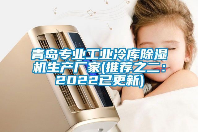 青島專業工業冷庫除濕機生產廠家(推薦之二：2022已更新)