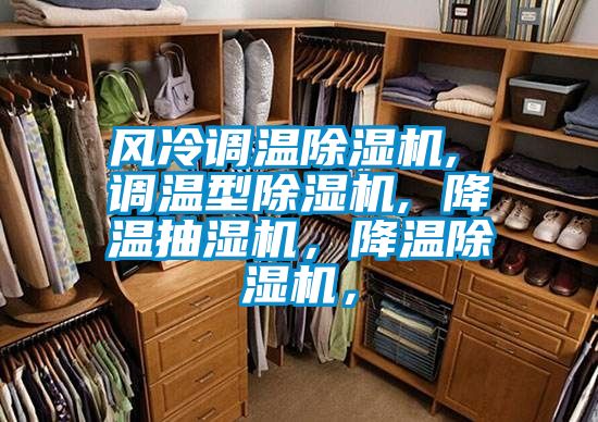 風(fēng)冷調(diào)溫除濕機(jī), 調(diào)溫型除濕機(jī), 降溫抽濕機(jī)，降溫除濕機(jī)，