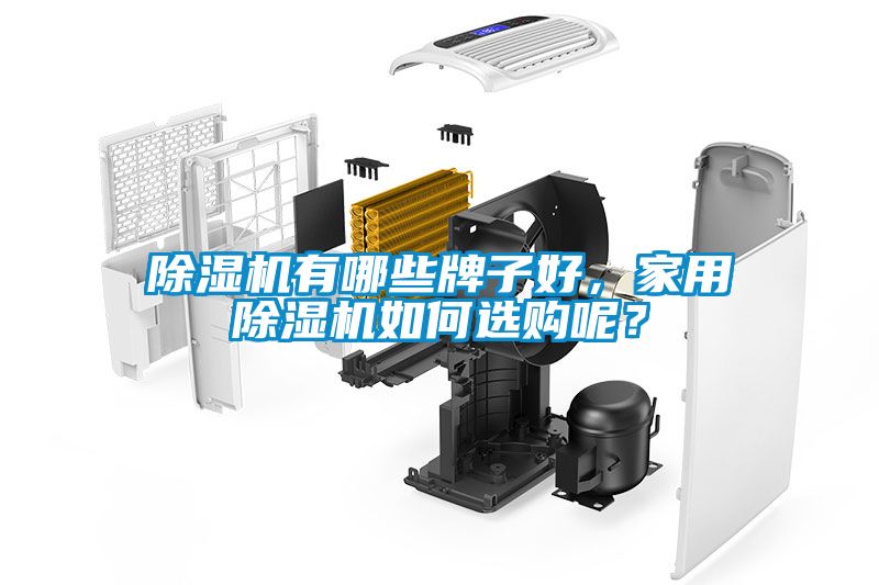 除濕機(jī)有哪些牌子好，家用除濕機(jī)如何選購呢？