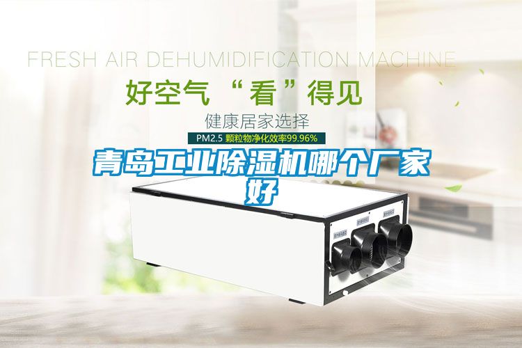 青島工業除濕機哪個廠家好