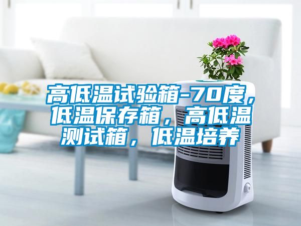 高低溫試驗(yàn)箱-70度，低溫保存箱，高低溫測(cè)試箱，低溫培養(yǎng)