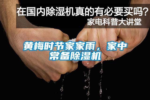 黃梅時節家家雨，家中常備除濕機