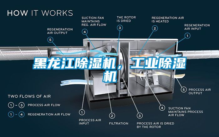 黑龍江除濕機，工業除濕機