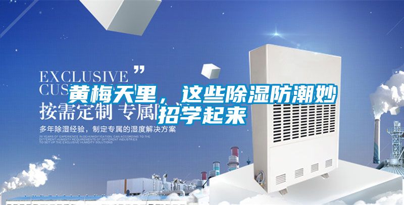 黃梅天里，這些除濕防潮妙招學起來