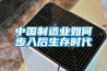 中國制造業如何步入后生存時代
