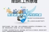 除濕機哪個牌子性價比最高？
