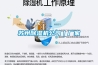 北方有除濕的必要嗎？這種方法好用又不浪費
