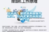 滋補品、保健品不宜保存太久，行內專家告訴你儲藏方法