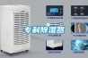 去霉氣，迎新春！家中五大必須除濕的場所