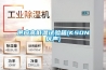 新風吊頂除濕機，吊頂式新風除濕凈化一體機