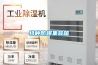 供應(yīng)非標(biāo)除濕機(jī)杭州非標(biāo)除濕機(jī)浙江非標(biāo)除濕機(jī)廠家