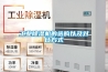 「室內除濕器有用嗎」除濕機真的可以除濕嗎