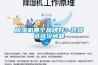 除濕機(jī)哪個(gè)品牌好？這樣選擇沒問題