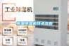 這幾天，不妨將空調開在除濕檔，但是開空調除濕，不妨打開除濕機