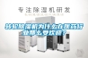 轉輪除濕機為什么在醫藥行業那么受歡迎？