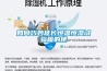 潮濕與霉菌對(duì)人類的危害你知道多少？