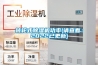 轉輪式除濕機功率(請查看：2022已更新)