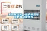 貪小失大，超低價除濕機不能買