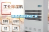 未來除濕機銷售要與時俱進